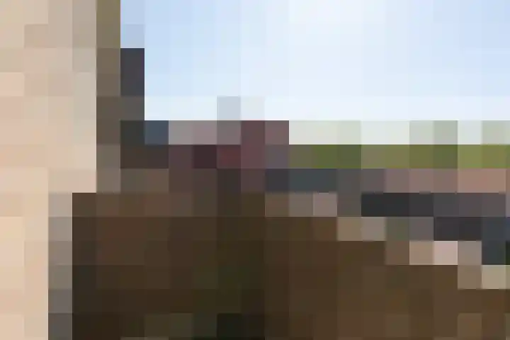Johan de Wittlaan 100 Arnhem thumbnail 24