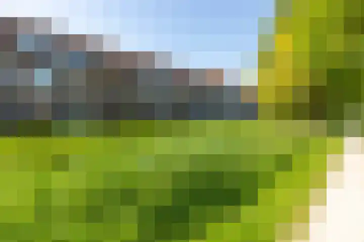 Johan de Wittlaan 100 Arnhem thumbnail 30