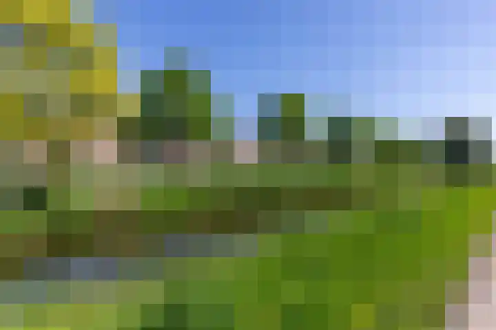 Johan de Wittlaan 100 Arnhem thumbnail 4