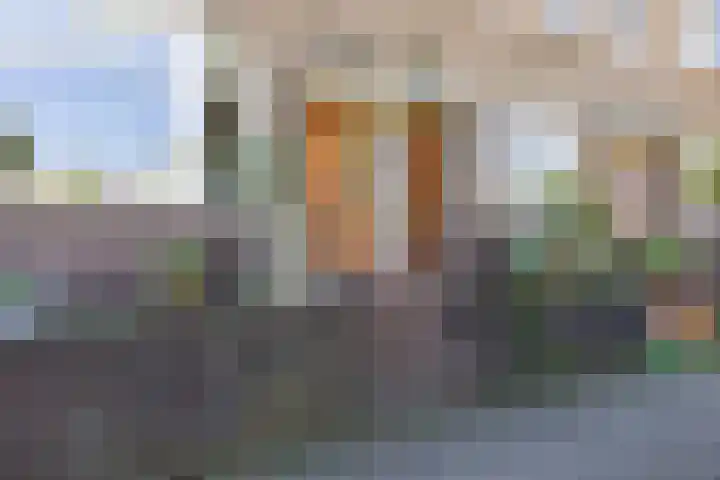 Johan de Wittlaan 100 Arnhem thumbnail 5
