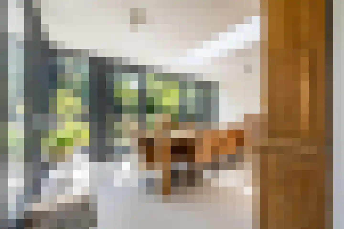 Johan de Wittlaan 11 Haarlem thumbnail 13