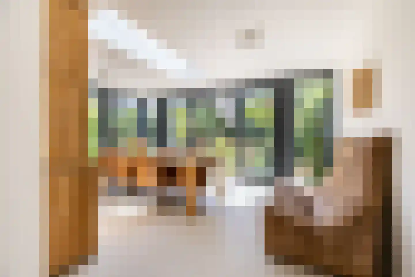 Johan de Wittlaan 11 Haarlem thumbnail 14