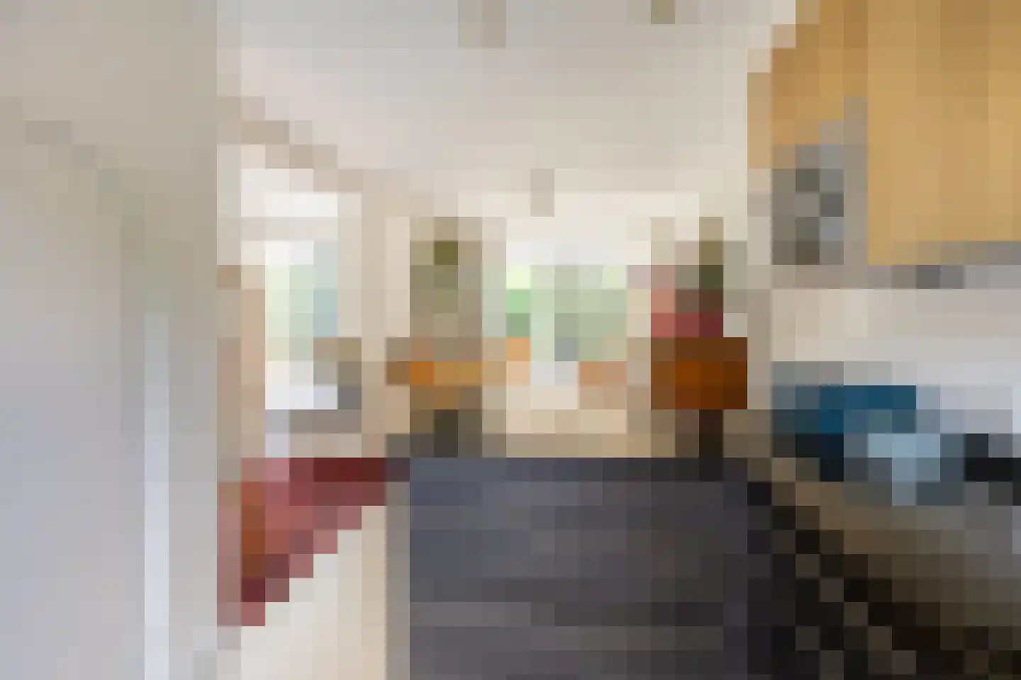 Johan de Wittlaan 11 Haarlem thumbnail 19