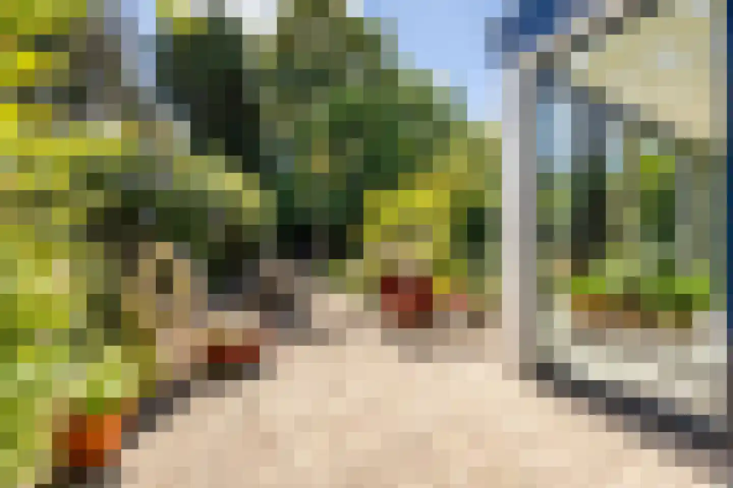 Johan de Wittlaan 11 Haarlem thumbnail 22