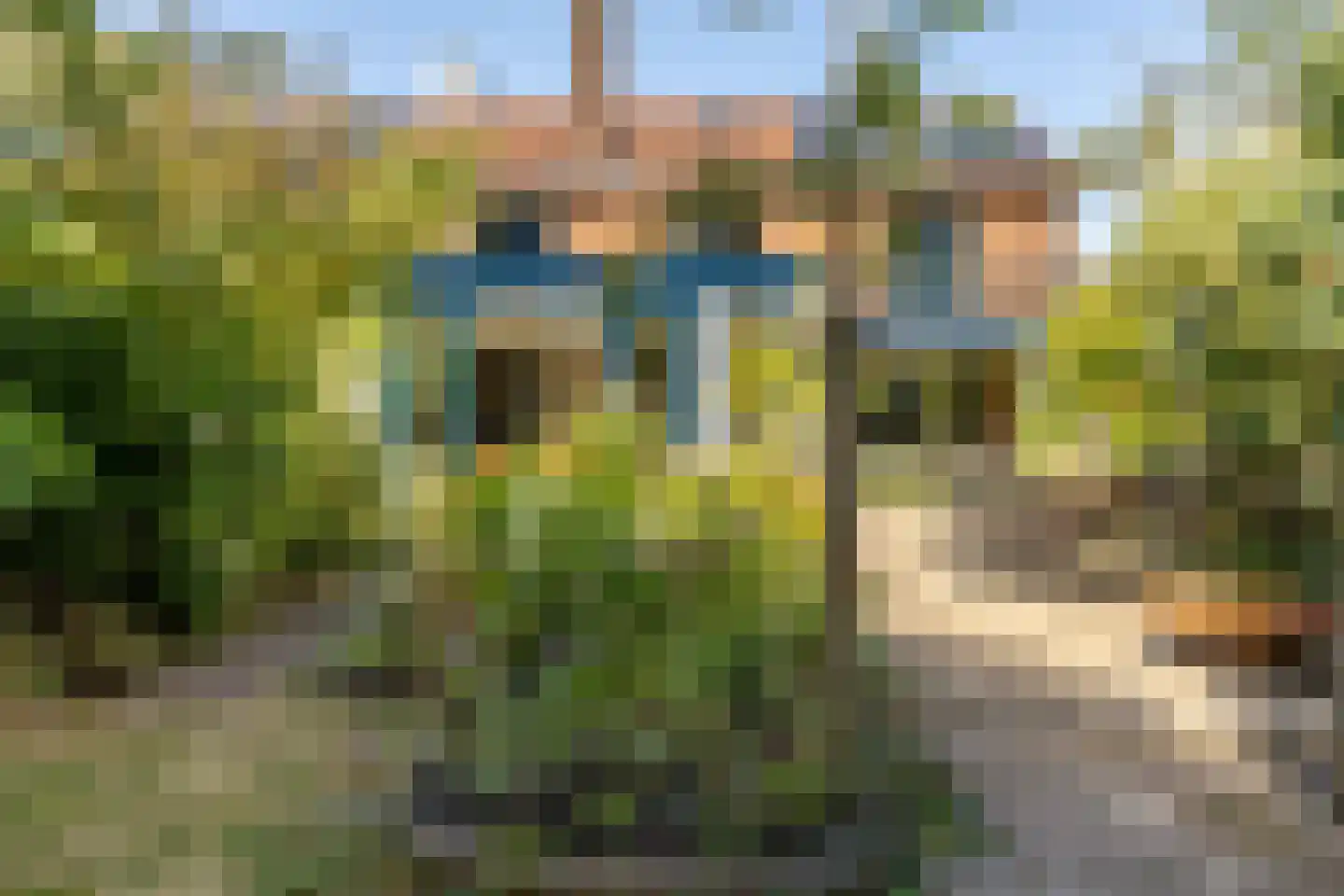 Johan de Wittlaan 11 Haarlem thumbnail 23