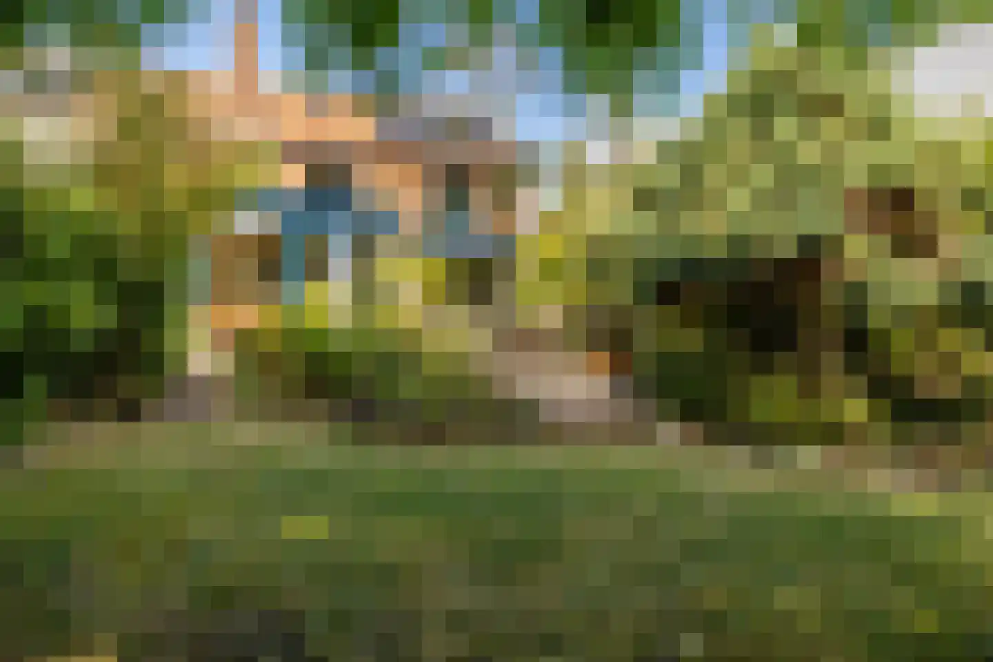 Johan de Wittlaan 11 Haarlem thumbnail 24