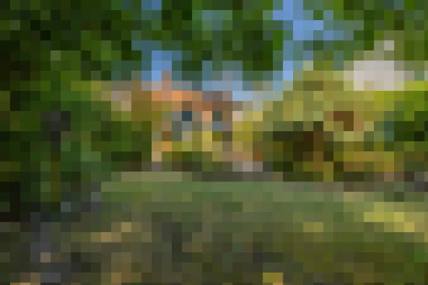 Johan de Wittlaan 11 Haarlem thumbnail 25