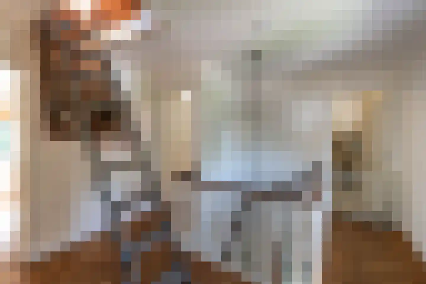 Johan de Wittlaan 11 Haarlem thumbnail 28