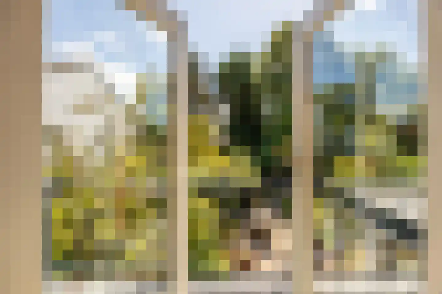 Johan de Wittlaan 11 Haarlem thumbnail 32