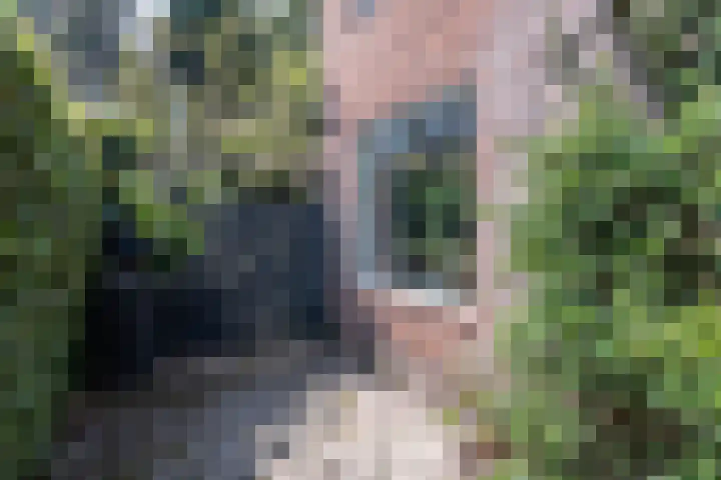 Johan de Wittlaan 11 Haarlem thumbnail 36