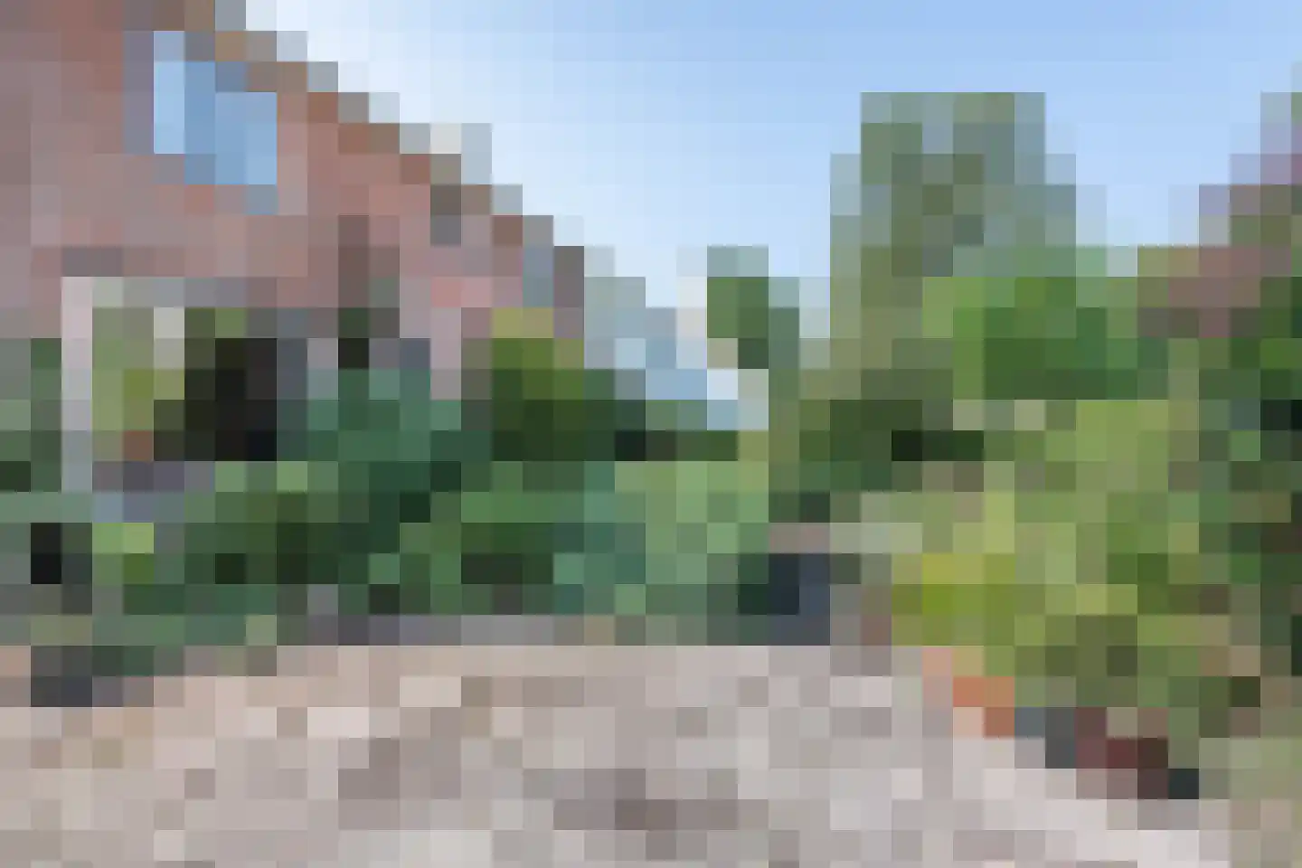 Johan de Wittlaan 11 Haarlem thumbnail 5