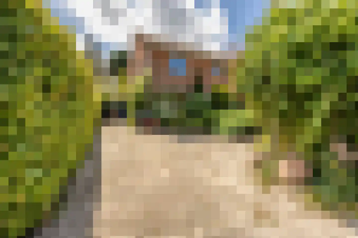 Johan de Wittlaan 11 Haarlem thumbnail 6