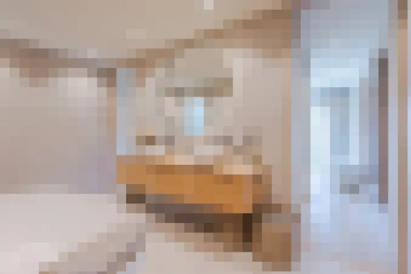 Johan de Wittlaan 111 Uithoorn thumbnail 27