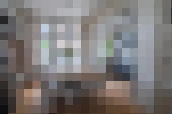 Johan de Wittlaan 113 Arnhem thumbnail 18