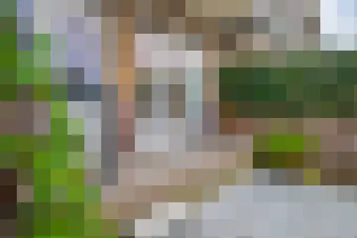 Johan de Wittlaan 113 Arnhem thumbnail 33
