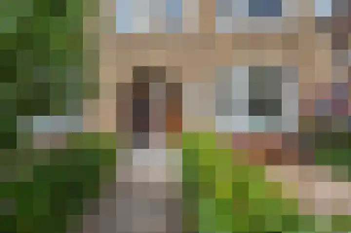 Johan de Wittlaan 113 Arnhem thumbnail 39