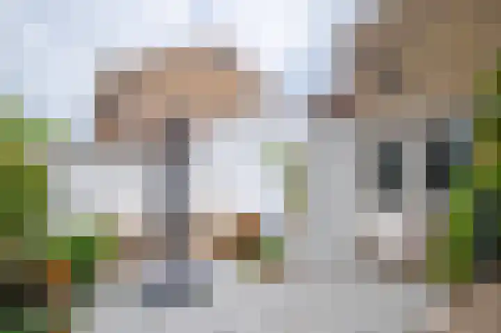 Johan de Wittlaan 113 Arnhem thumbnail 4