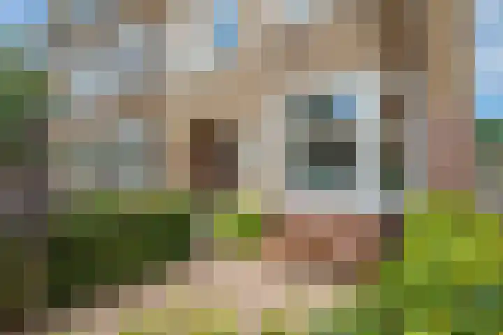 Johan de Wittlaan 113 Arnhem thumbnail 5