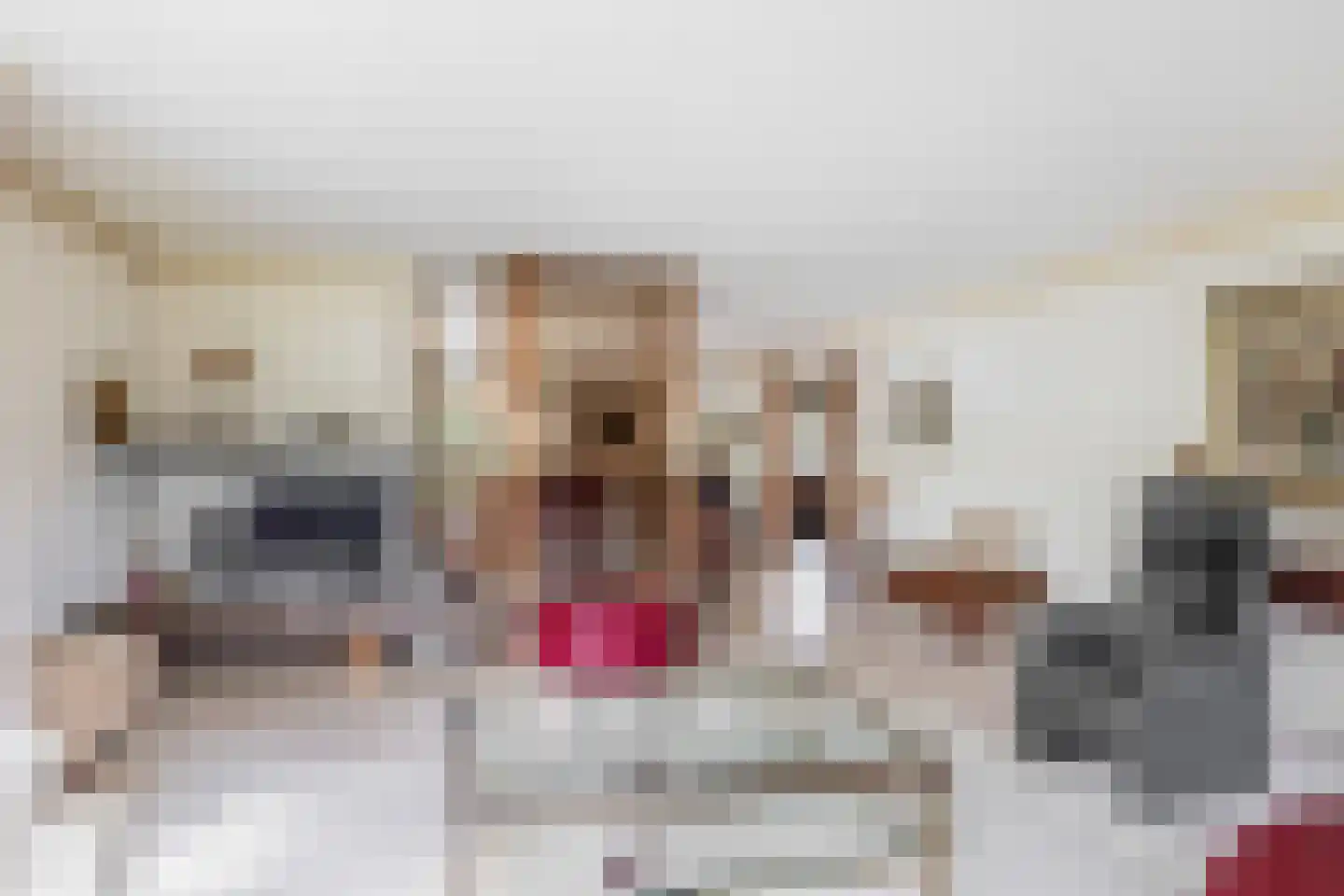 Johan de Wittlaan 12 Eindhoven thumbnail 17