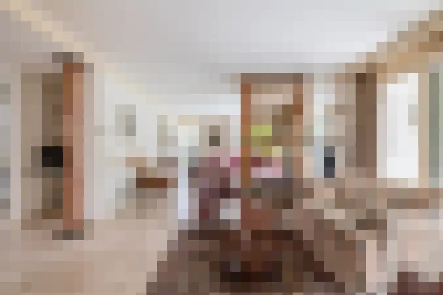 Johan de Wittlaan 12 Eindhoven thumbnail 21