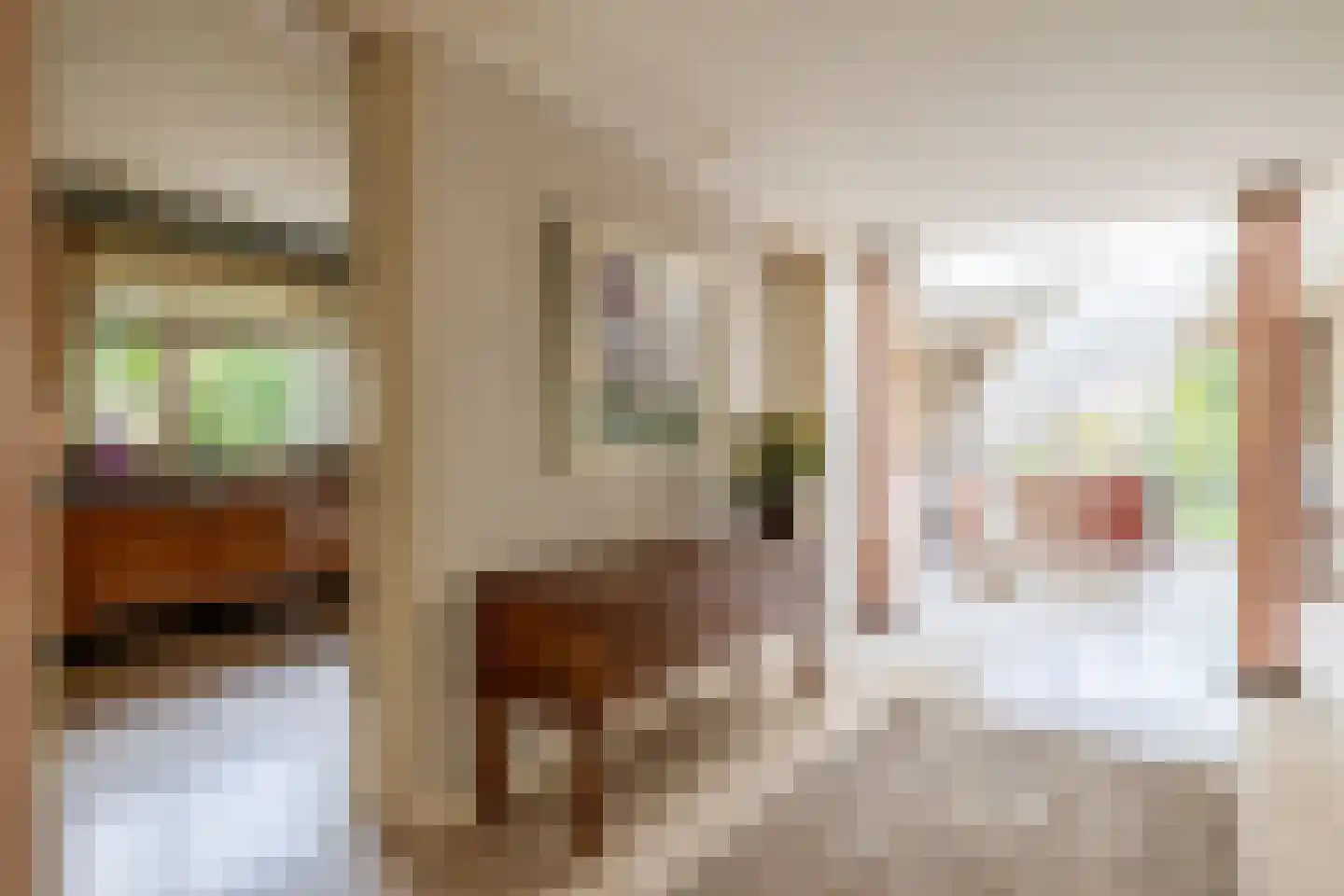 Johan de Wittlaan 12 Eindhoven thumbnail 22