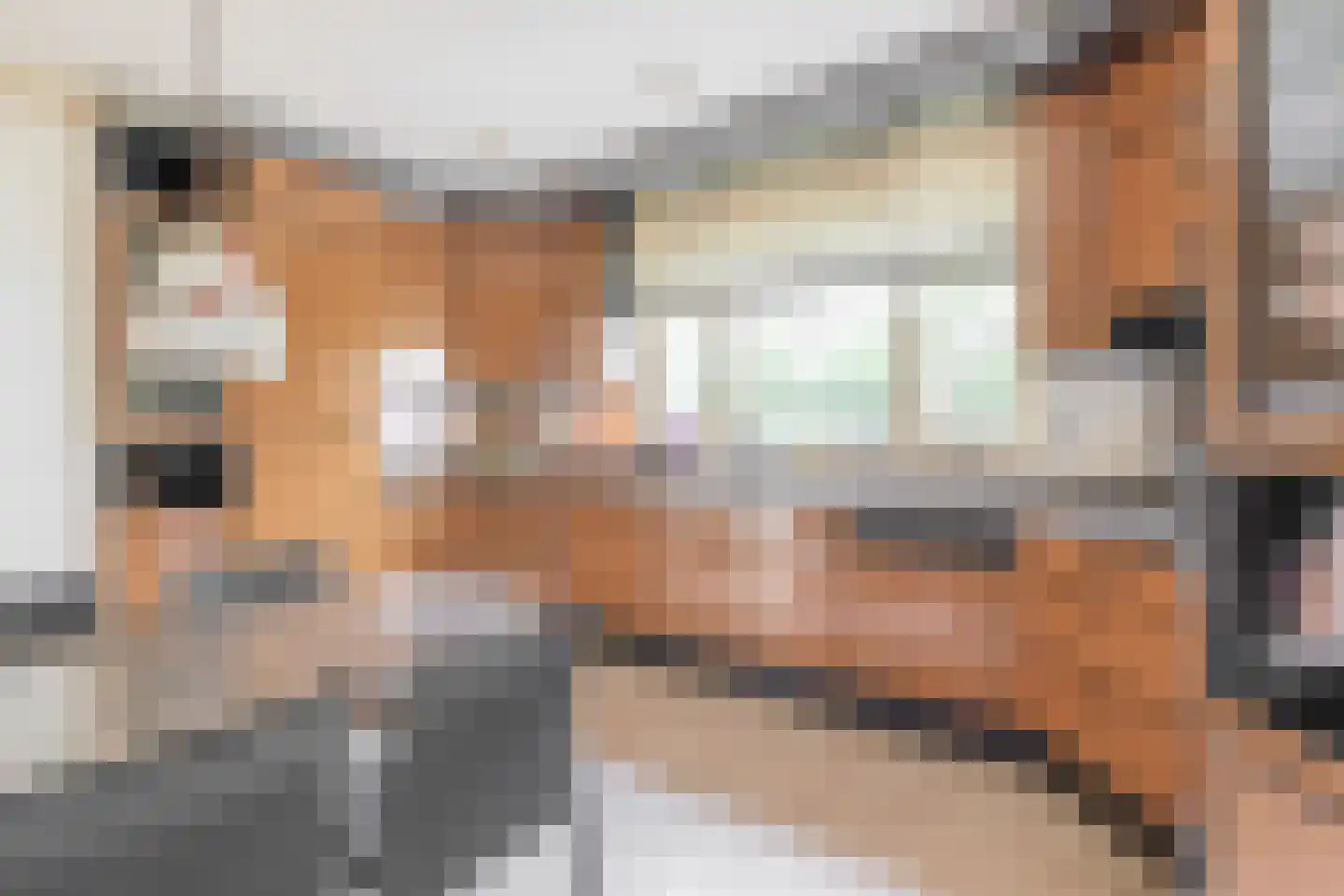 Johan de Wittlaan 12 Eindhoven thumbnail 24