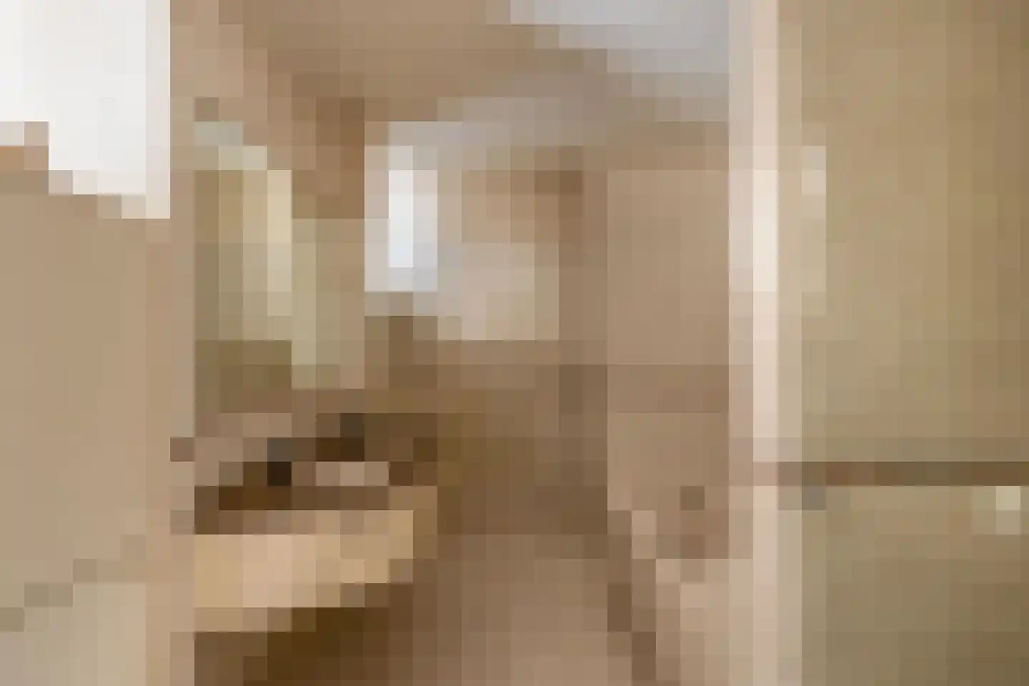Johan de Wittlaan 12 Eindhoven thumbnail 29
