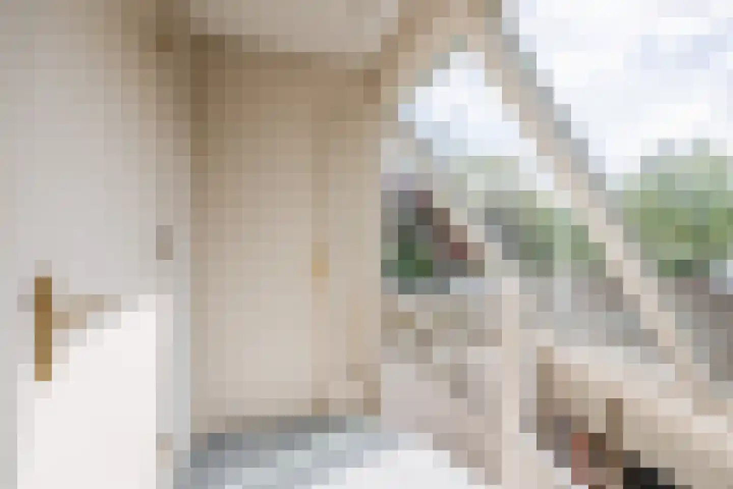 Johan de Wittlaan 12 Eindhoven thumbnail 32
