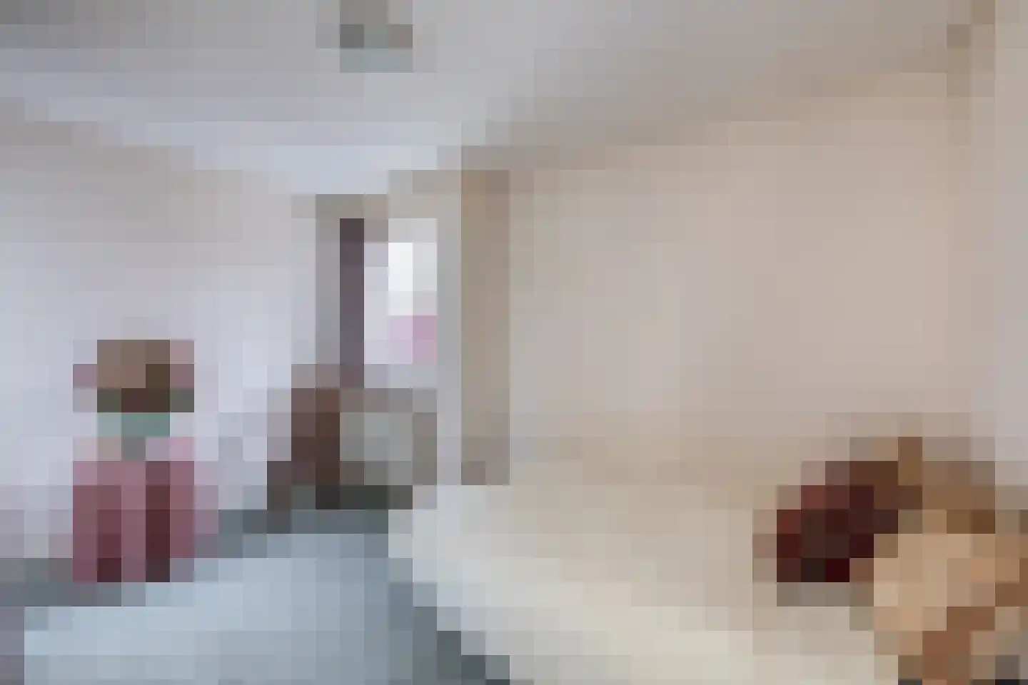 Johan de Wittlaan 12 Eindhoven thumbnail 33