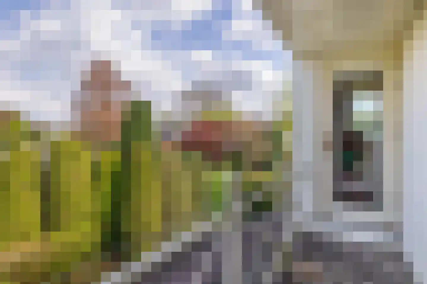 Johan de Wittlaan 12 Eindhoven thumbnail 35