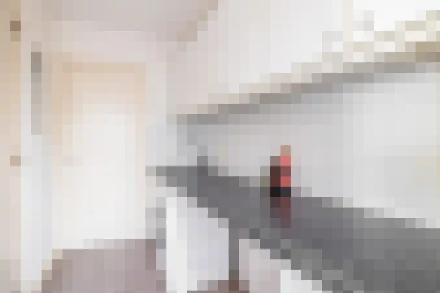 Johan de Wittlaan 12 Eindhoven thumbnail 38