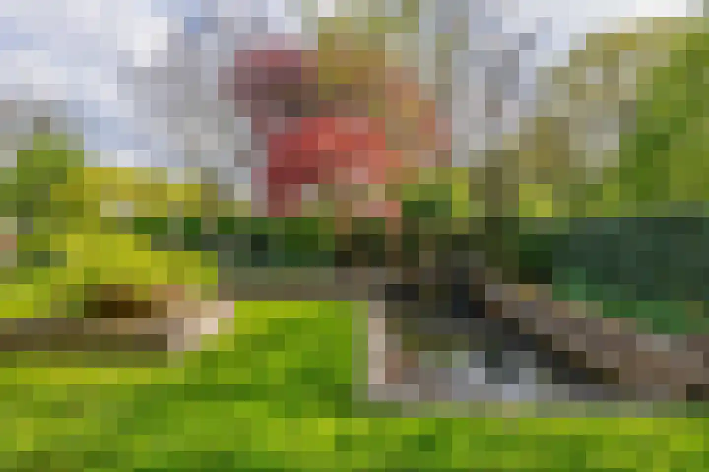 Johan de Wittlaan 12 Eindhoven thumbnail 43