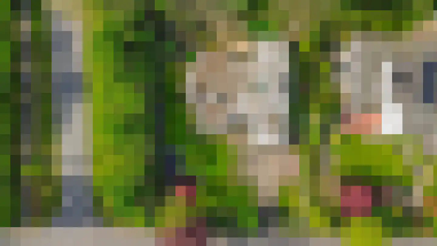 Johan de Wittlaan 12 Eindhoven thumbnail 53