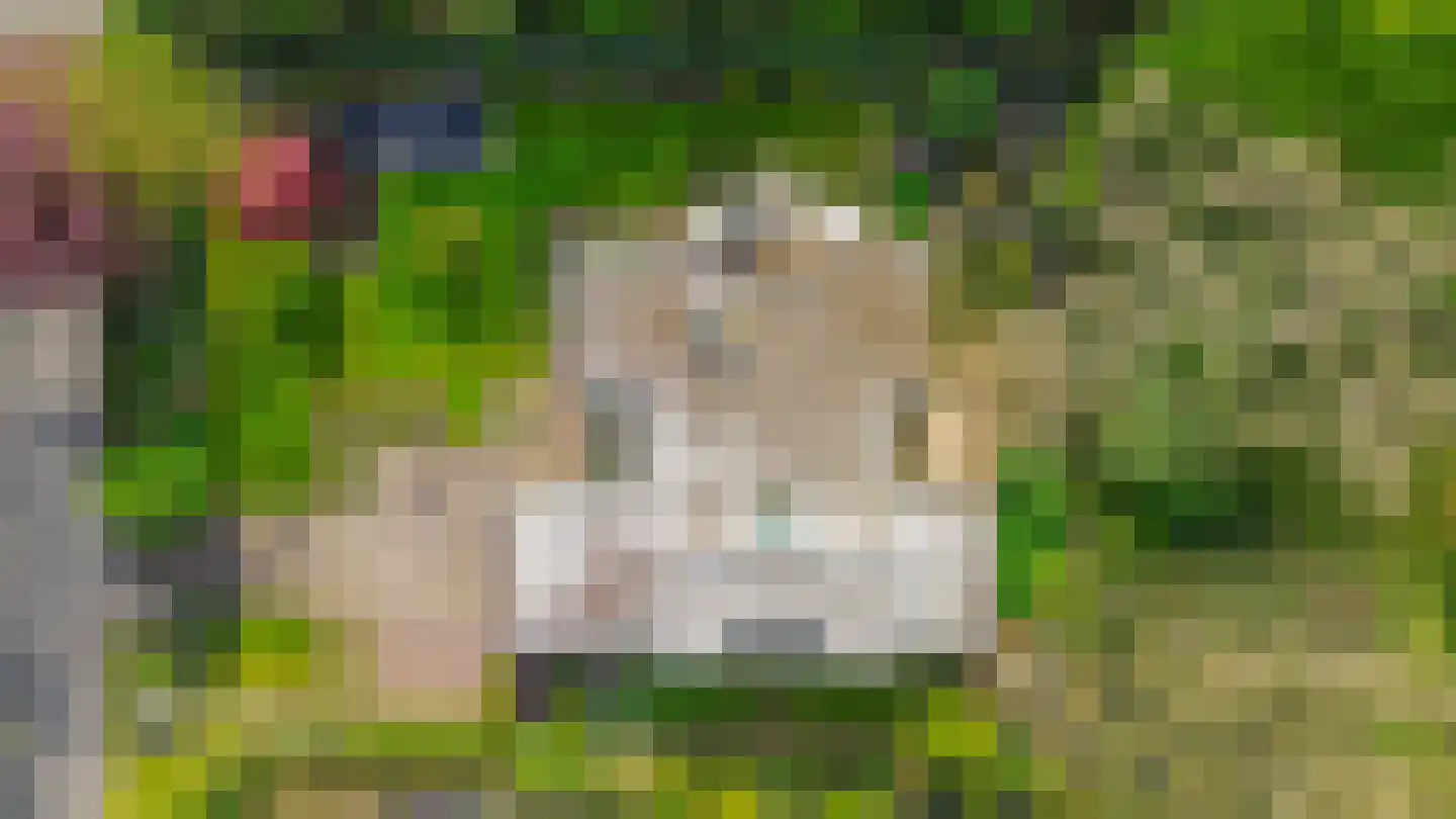 Johan de Wittlaan 12 Eindhoven thumbnail 54