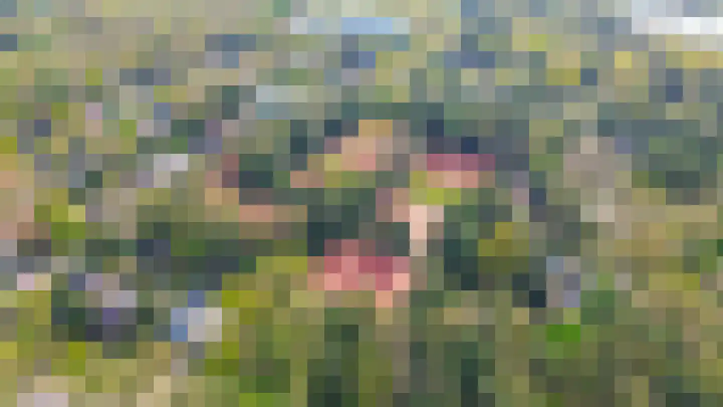 Johan de Wittlaan 12 Eindhoven thumbnail 56