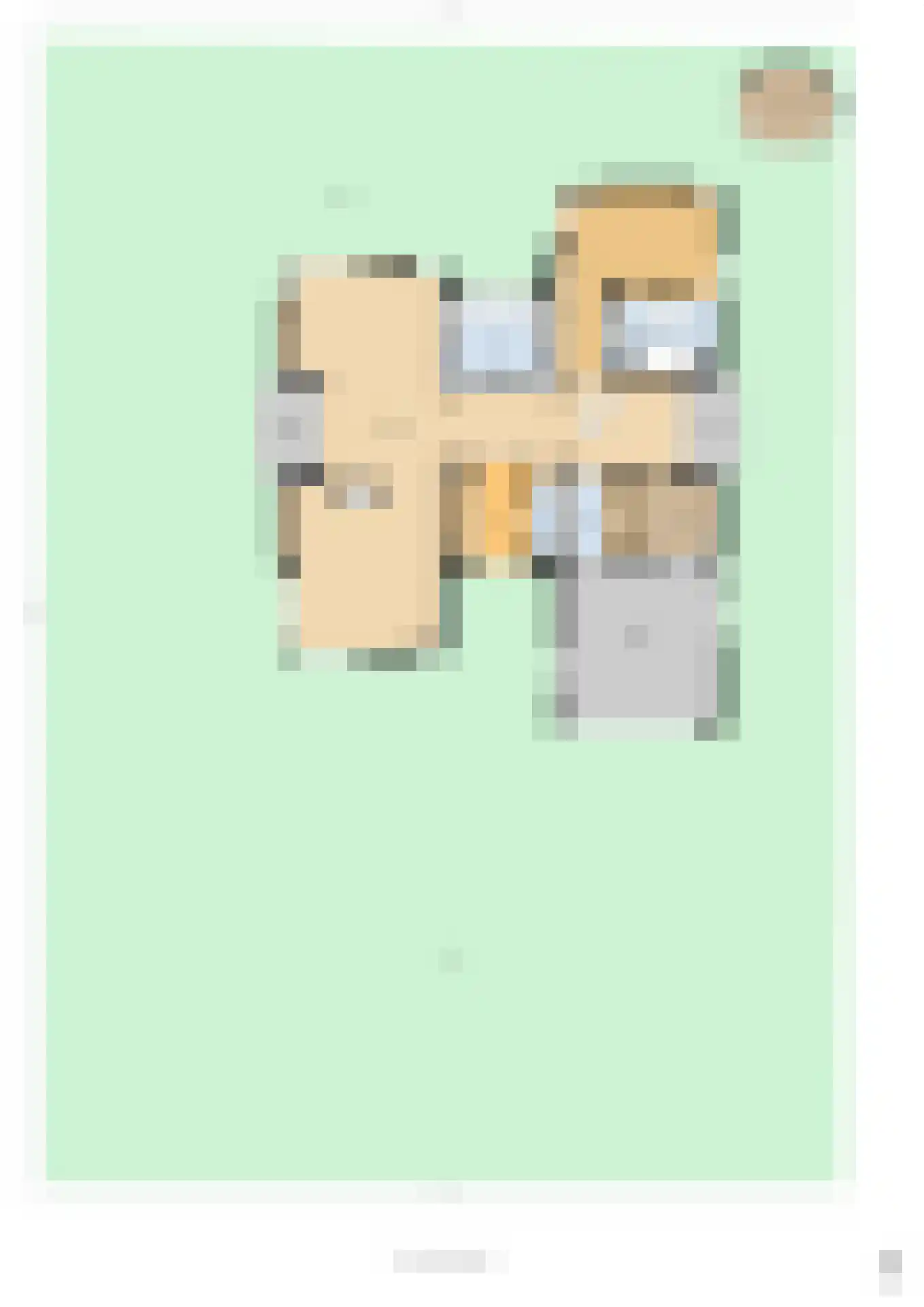 Johan de Wittlaan 12 Eindhoven thumbnail 62