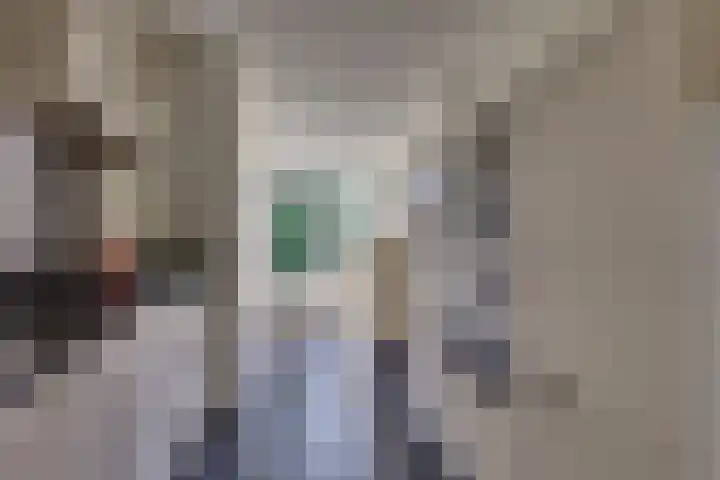 Johan de Wittlaan 12 Lochem thumbnail 10
