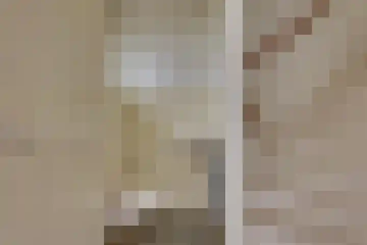 Johan de Wittlaan 12 Lochem thumbnail 11
