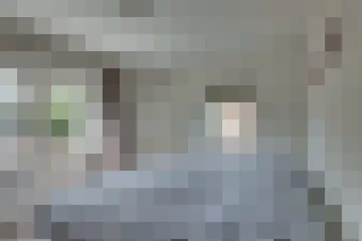 Johan de Wittlaan 12 Lochem thumbnail 13