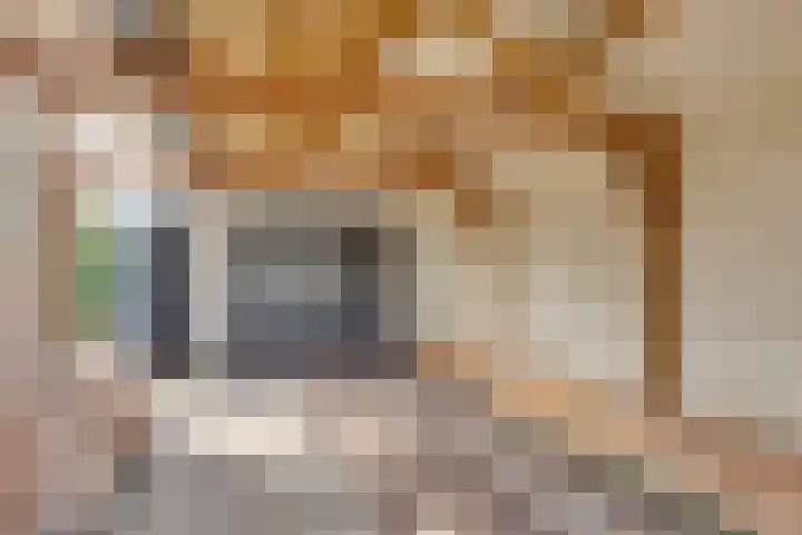 Johan de Wittlaan 12 Lochem thumbnail 25
