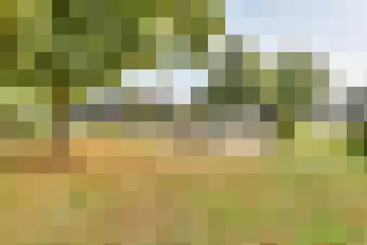 Johan de Wittlaan 12 Lochem thumbnail 27