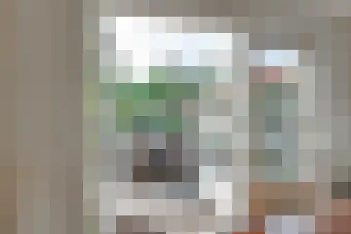 Johan de Wittlaan 12 Lochem thumbnail 8