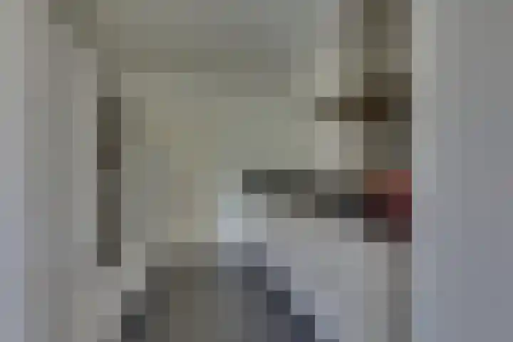 Johan de Wittlaan 12 Lochem thumbnail 9