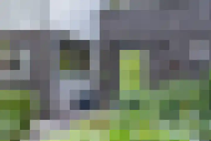 Johan de Wittlaan 13 Barneveld thumbnail 10