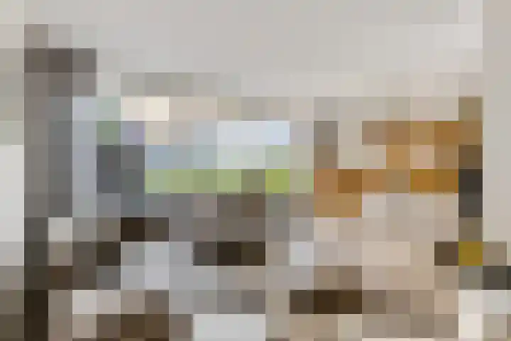 Johan de Wittlaan 13 Barneveld thumbnail 13