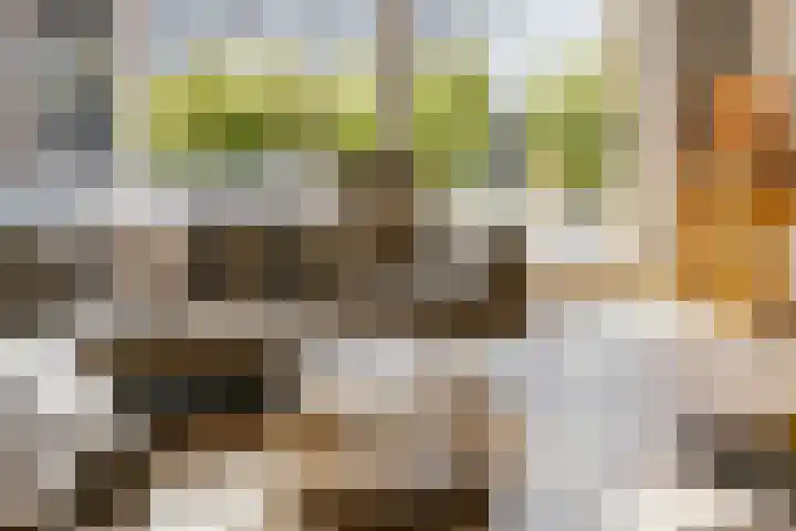 Johan de Wittlaan 13 Barneveld thumbnail 14