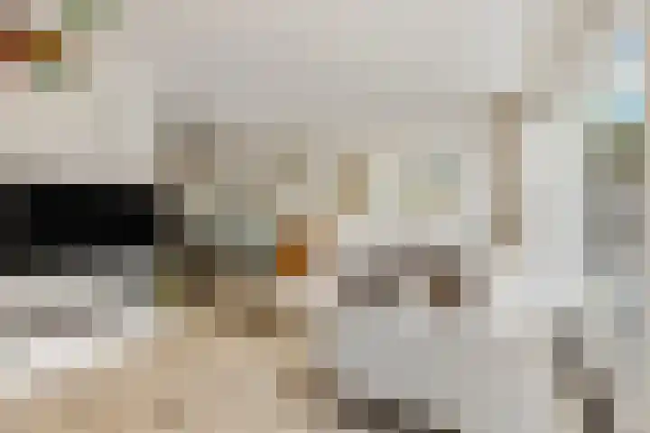 Johan de Wittlaan 13 Barneveld thumbnail 16