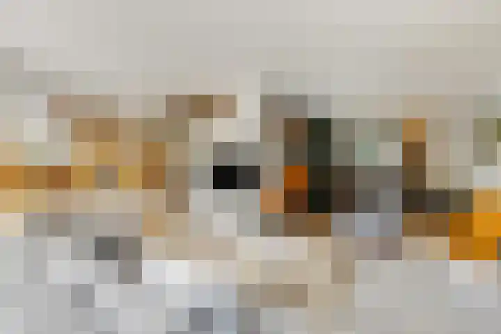 Johan de Wittlaan 13 Barneveld thumbnail 17