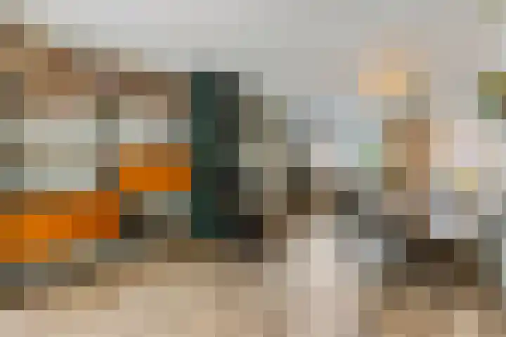 Johan de Wittlaan 13 Barneveld thumbnail 18