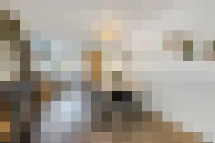 Johan de Wittlaan 13 Barneveld thumbnail 19